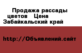 Продажа рассады цветов › Цена ­ 10-150 - Забайкальский край  »    